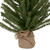 18" Traditional Scottsdale Mini Pine Artificial Christmas Tree with Burlap, Unlit